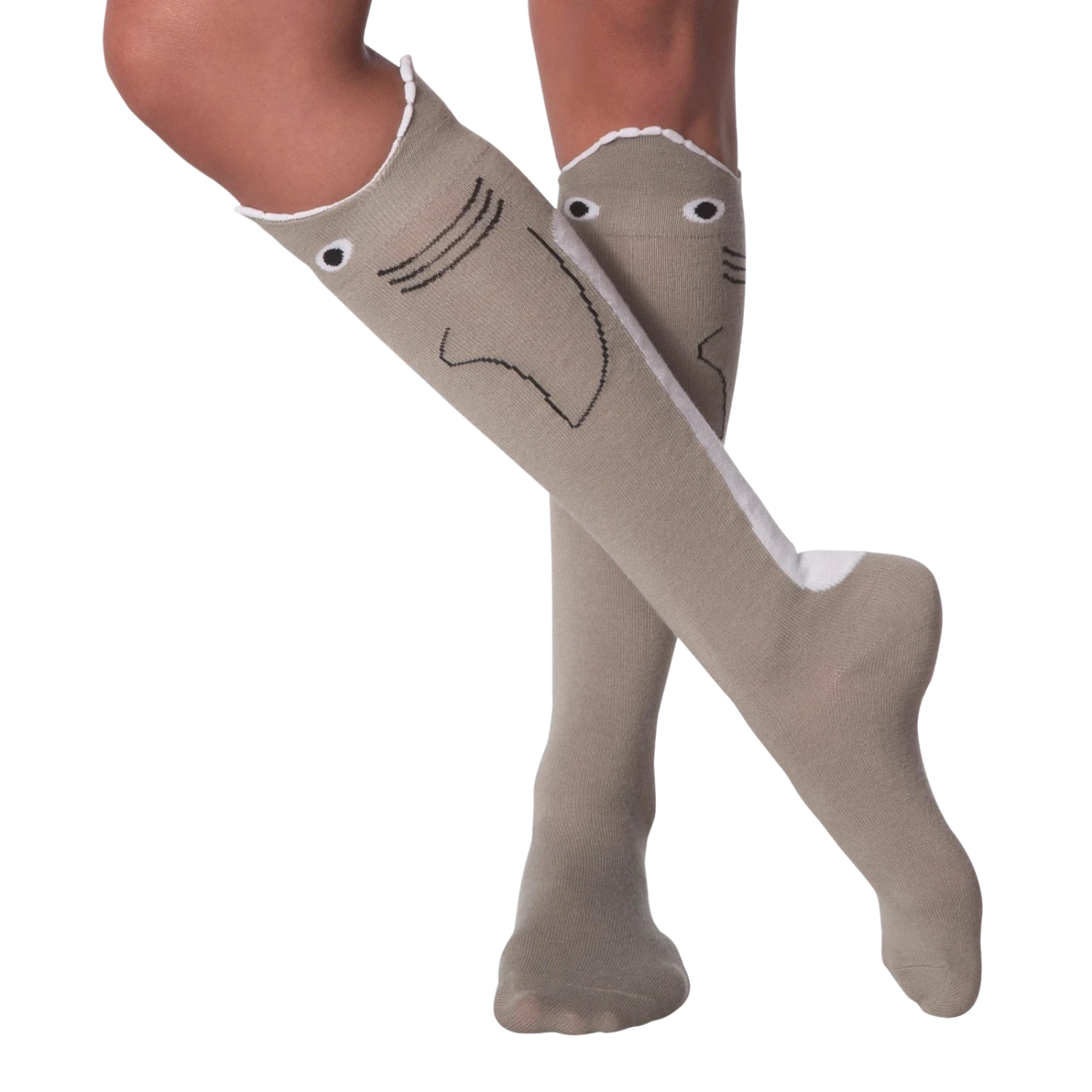 Wide Mouth Shark - Image 2