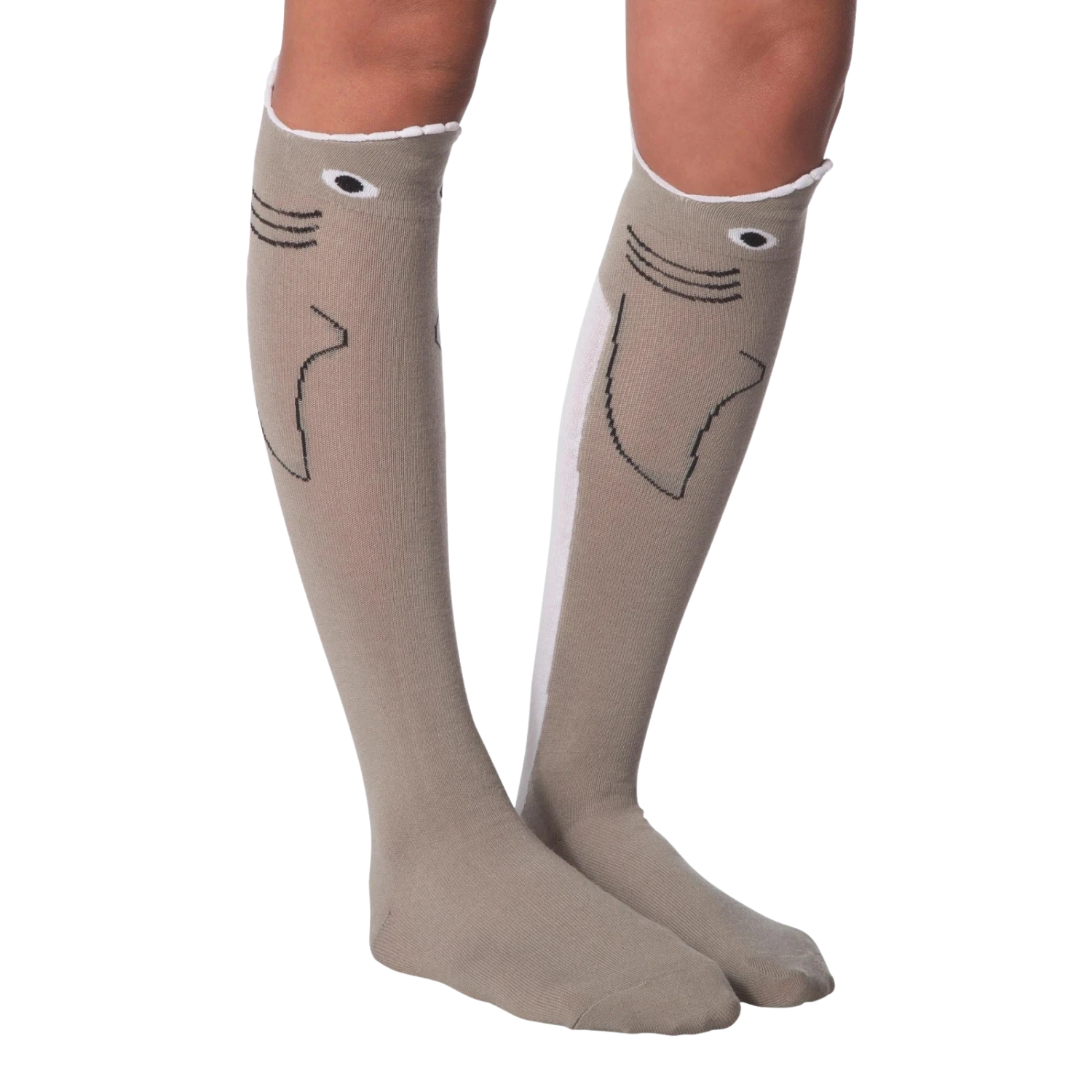 Wide Mouth Shark - Image 3