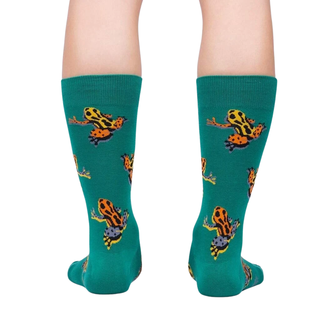 Poison Dart Frog - Image 3